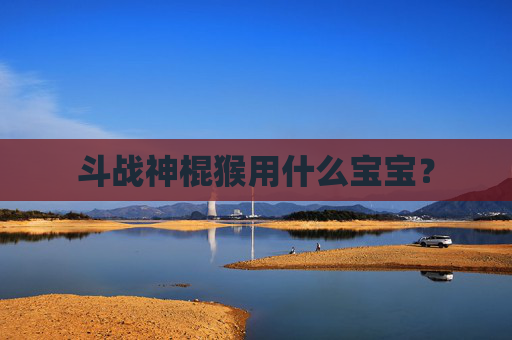 斗战神棍猴用什么宝宝？