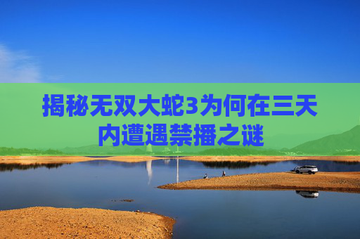 揭秘无双大蛇3为何在三天内遭遇禁播之谜