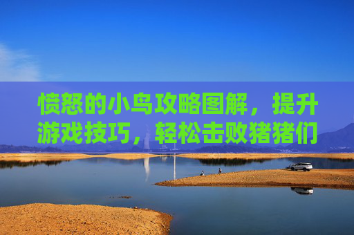 愤怒的小鸟攻略图解，提升游戏技巧，轻松击败猪猪们