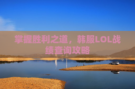 掌握胜利之道，韩服LOL战绩查询攻略
