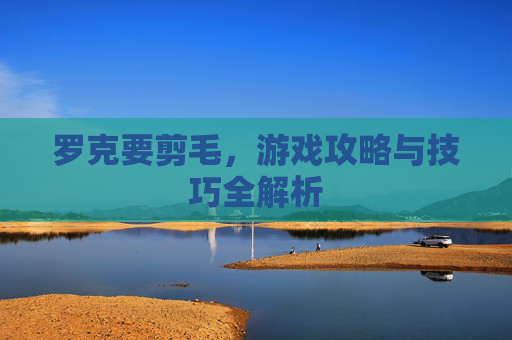 罗克要剪毛，游戏攻略与技巧全解析